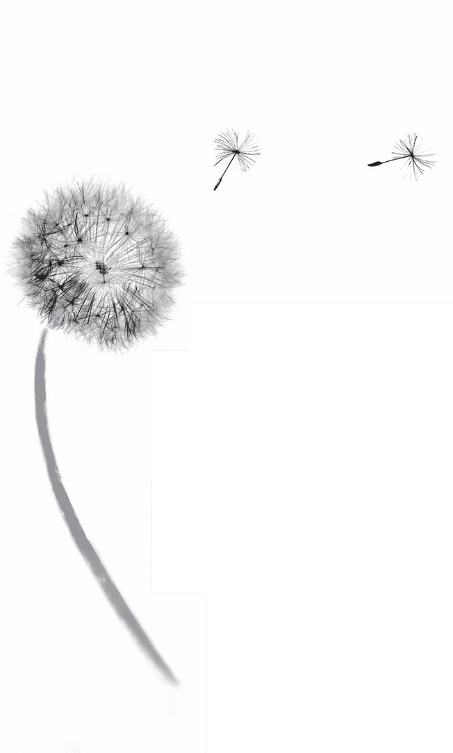 Crossbank Dental Care